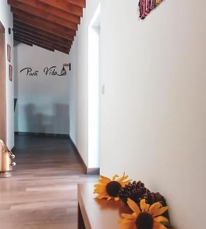 Pura Vida Matos House *