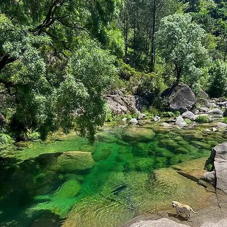 Pura Vida Matos House * Fafiao