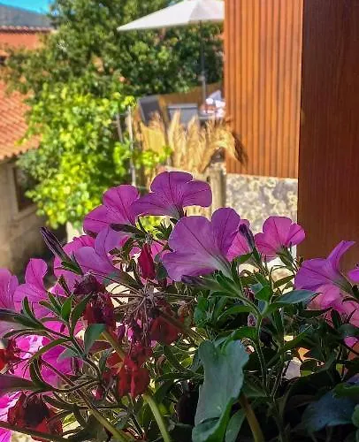 Pura Vida Matos House Σπίτι διακοπών *