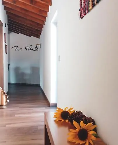 Pura Vida Matos House *