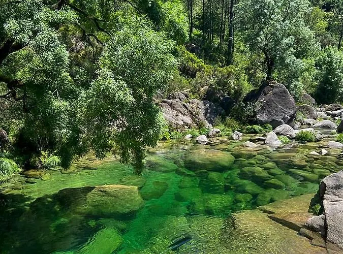 Pura Vida Matos House * Fafião